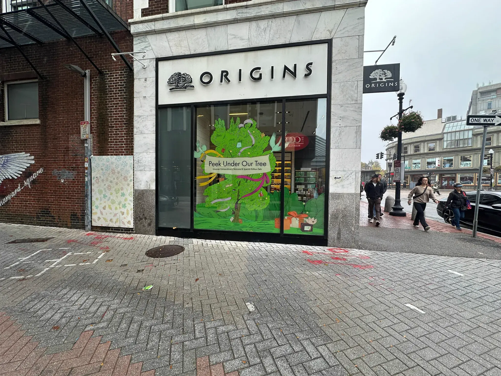 Origins storefront window graphic of a decorated tree in Harvard Square