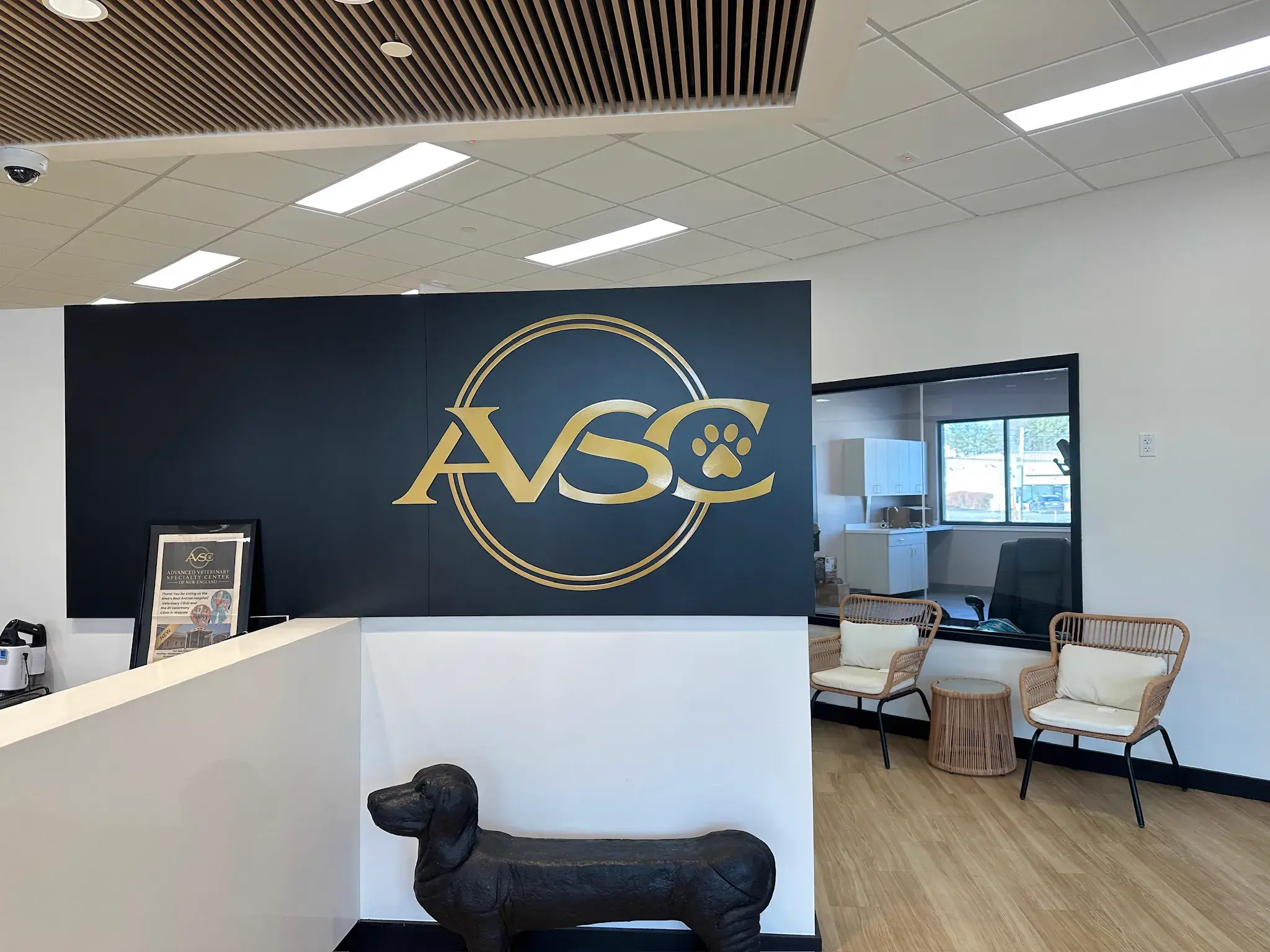 Gold AVSC logo applied to a navy veterinary clinic reception wall