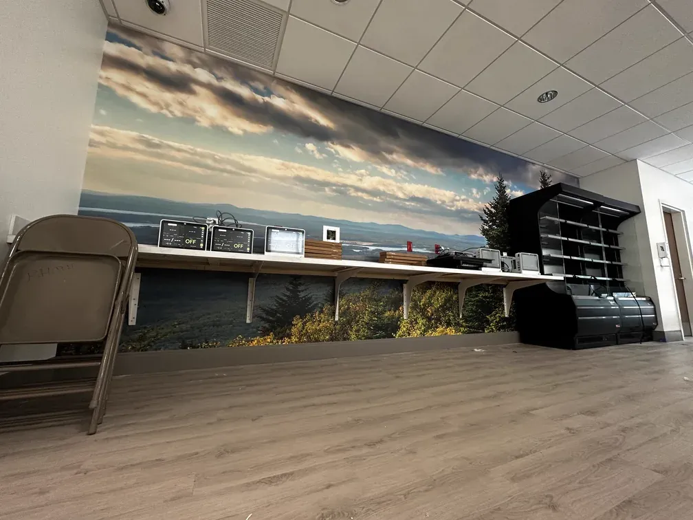 Full-wall landscape mural installed in an interior space