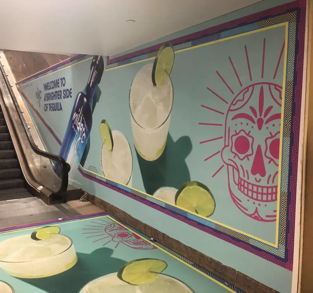 Wildera Tequila installation by Theory Media